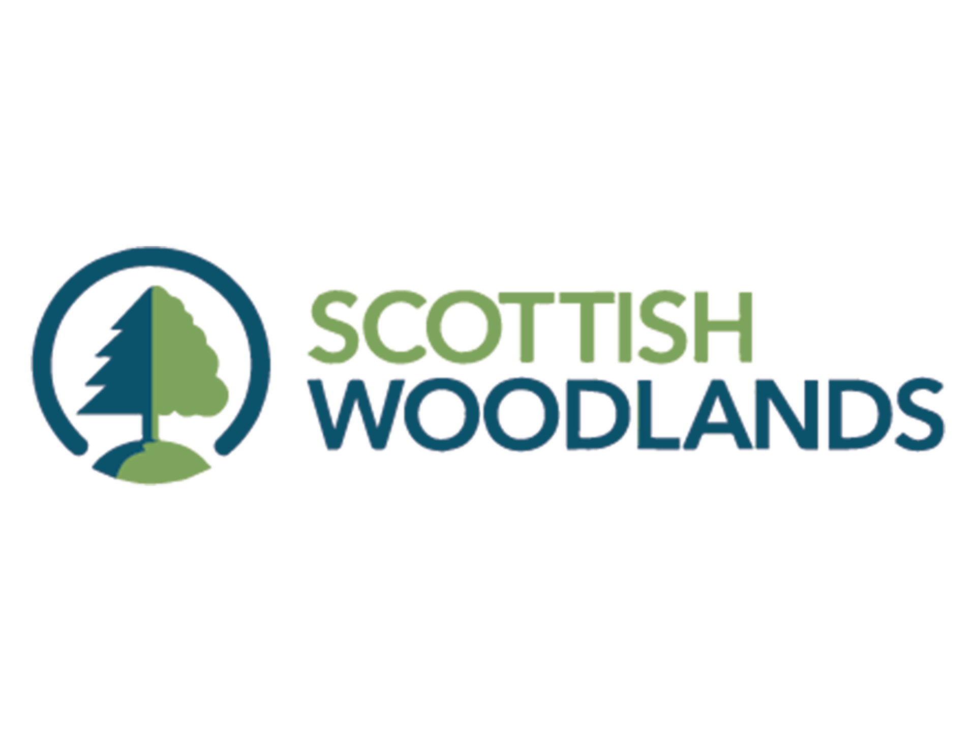 Scottish Woodlands